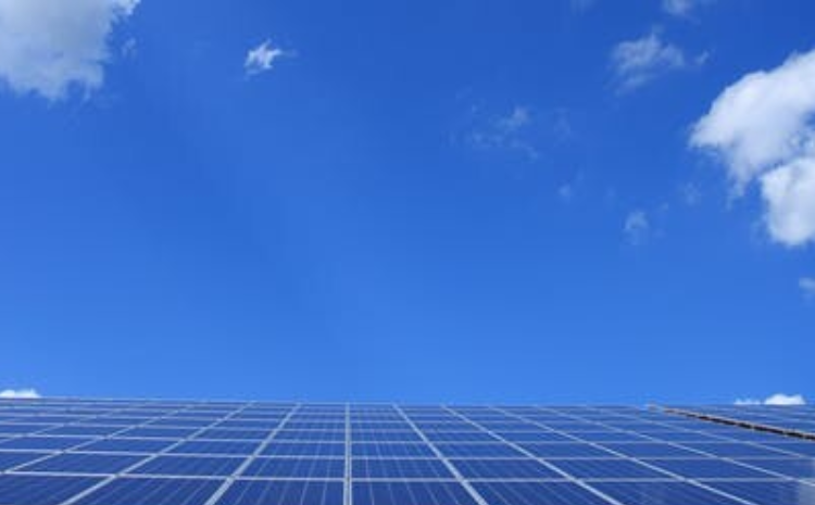 Harnessing Solar Power: The Future of Energy Monitoring